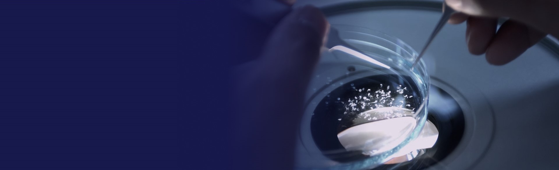 Analiza laboratoryjna próbki pod mikroskopem w laboratorium BIOCHEMIK